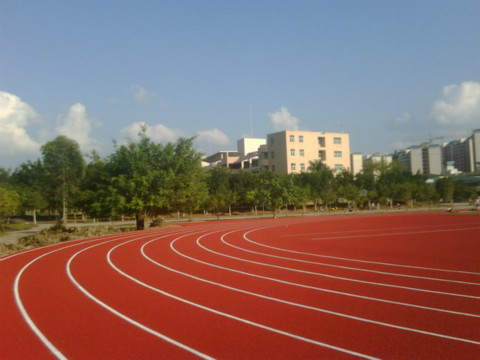 石鼓區塑膠跑道廠家