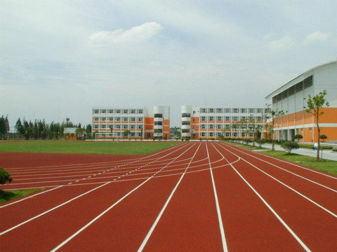 昌平區塑膠跑道廠家